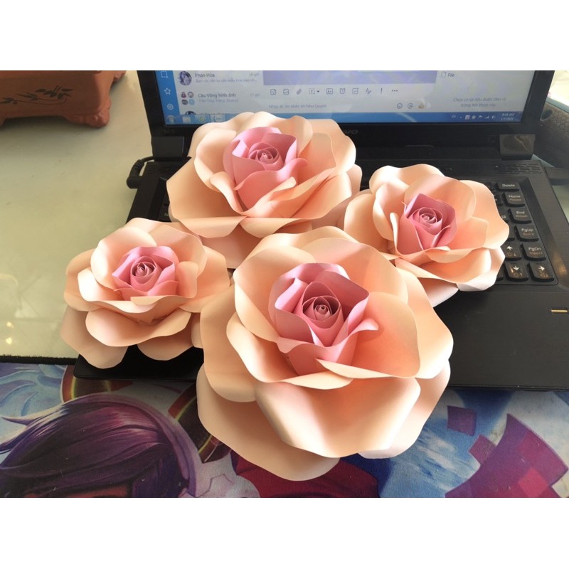 Hoa hồng giấy mỹ thuật 2 gam màu trang trí backdrop, spa