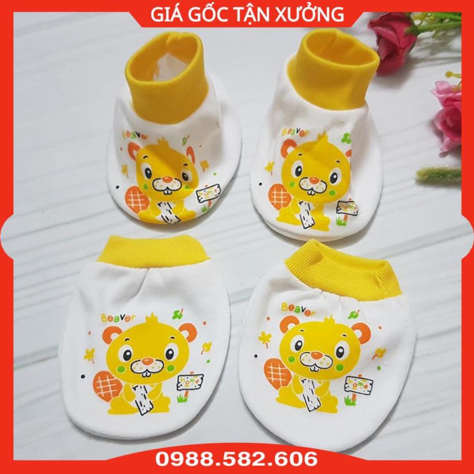 Bao Tay + Chân Kerokid Cho Bé Sơ Sinh Chất Cotton - Họa Tiết Đa Dạng - BTT00105