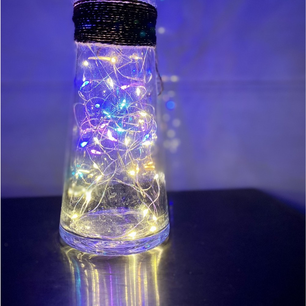 Đèn Led Trang Trí 2 Mét 2 Bóng Đom Đóm Fairylight, Chớp Nháy Và Đứng Yên, Decor Nhà Cửa, Hộp Quà