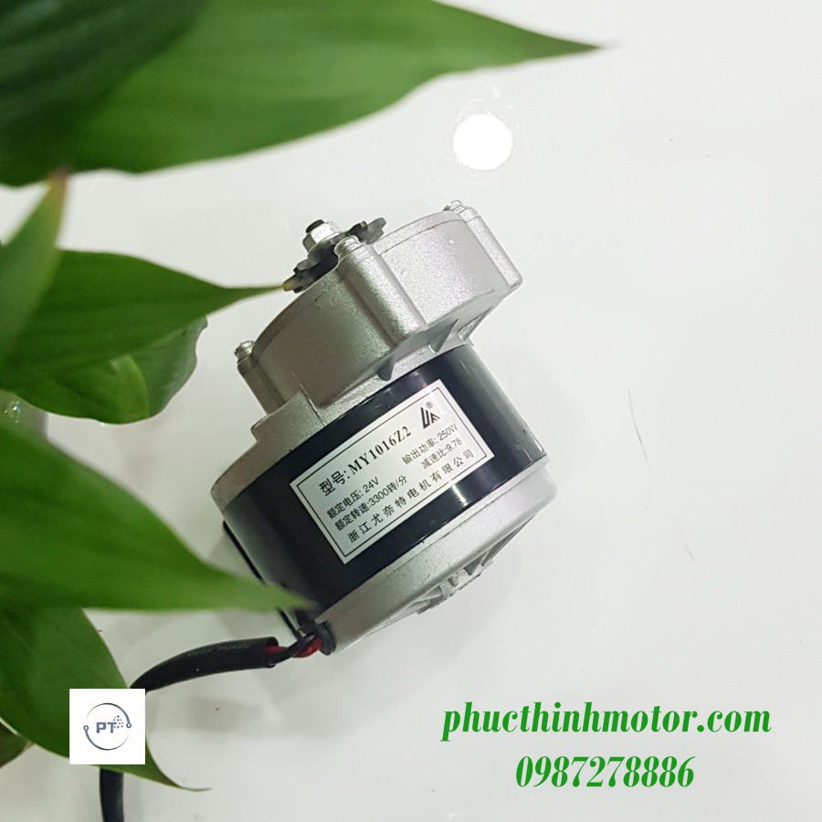 Động cơ Motor 24v250w chổi than