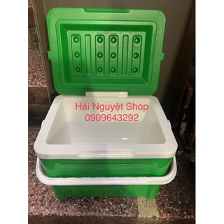 Thùng Đá Duy Tân Giữ Nhiệt Mini 8 Lít