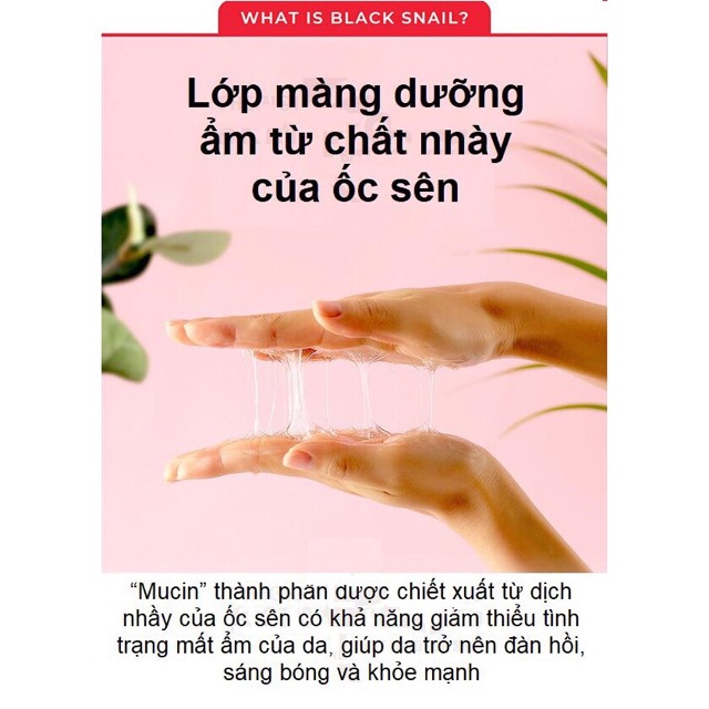 Tách Sét Sản Phẩm Ốc Sên Phục Hồi Da Some By Mi Snail Truecica Minisize