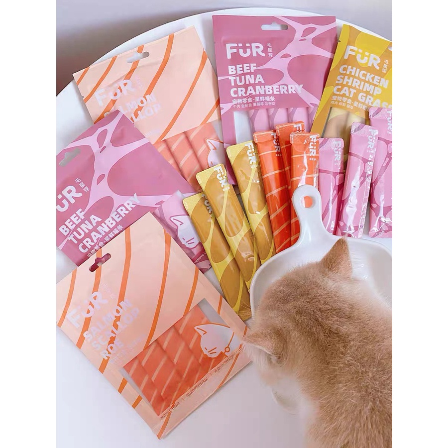 Súp thưởng cho mèo Furfurland 10g, kem snack dinh dưỡng tăng cân mèo lớn con nhỏ Con Mèo Xiêm