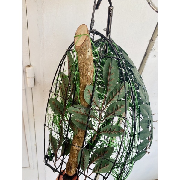 LỒNG, LỤP BẪY CHIM CU GÁY KẾT LÁ