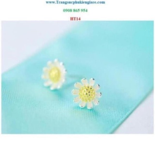 Np hoa tai bạc 925 hình hoa cúc xinh xắn ngntd nntb