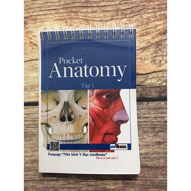 Pocket anatomy//Pocket giải phẫu