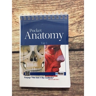 Pocket anatomy//Pocket giải phẫu