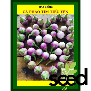 1G - Hạt Giống Cà Pháo Tím Tiểu Yến