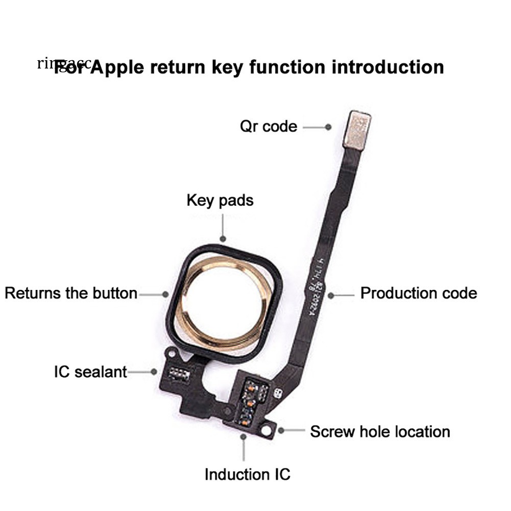 Nút home thay thế thích hợp cho Iphone 6 7 8 Plus