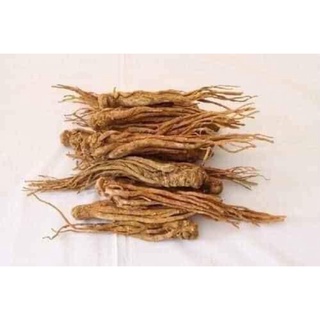 100g Sâm đương quy khô