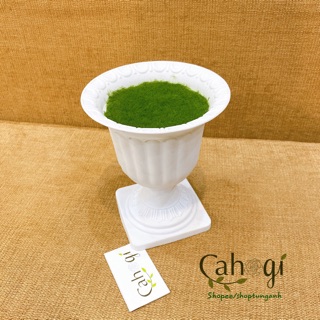 Chậu Đài Nhựa Nhồi Xốp Cắm Hoa Giả ( không kèm hoa)