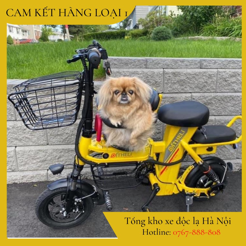 💥Xe dung lượng Pin 15a (60km) dung lượng cao