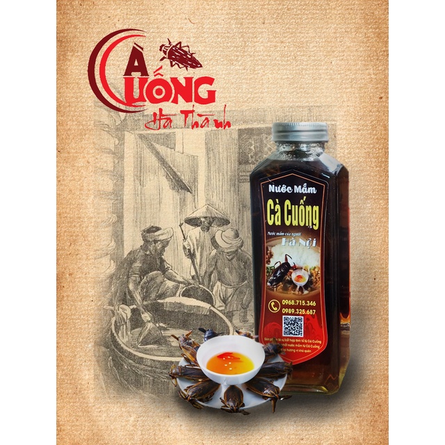 [Nước mắm NGON] Nước mắm cà cuống Hà Thành nguyên con độ đạm 40N chai thủy tinh 500ml loại 2 con cà cuống chai thủy tinh