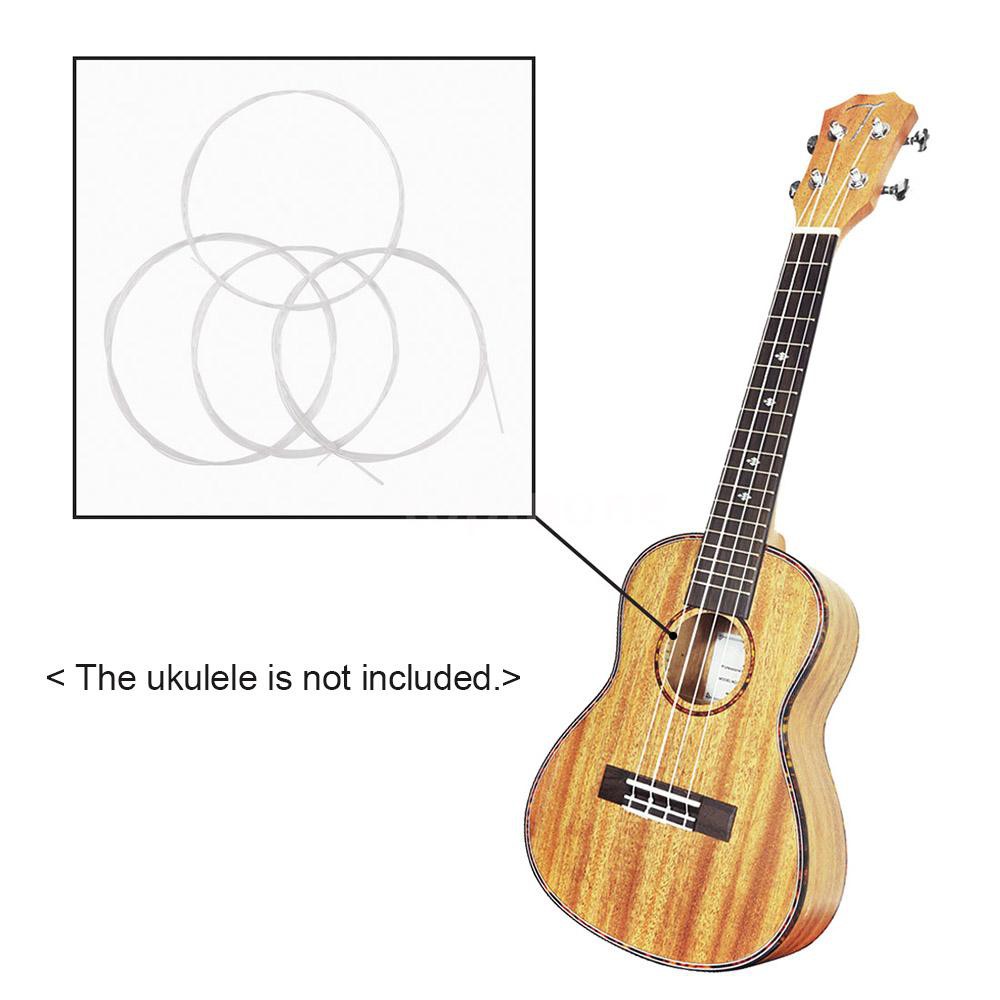 Bộ 4 dây đàn Ukulele màu trắng