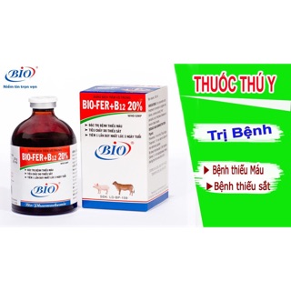 Dung dịch tiêm trị thiếu máu, sắt bio fer b12