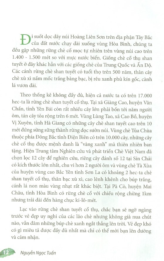 Sách Phác Thảo Danh Trà Việt Nam