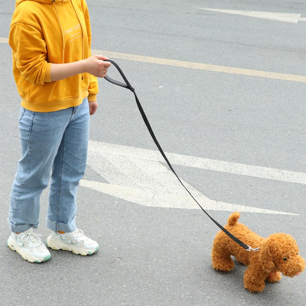 Dây Dắt Thú Cưng Đi Dạo Tiện Dụng