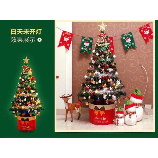 Cây thông noel