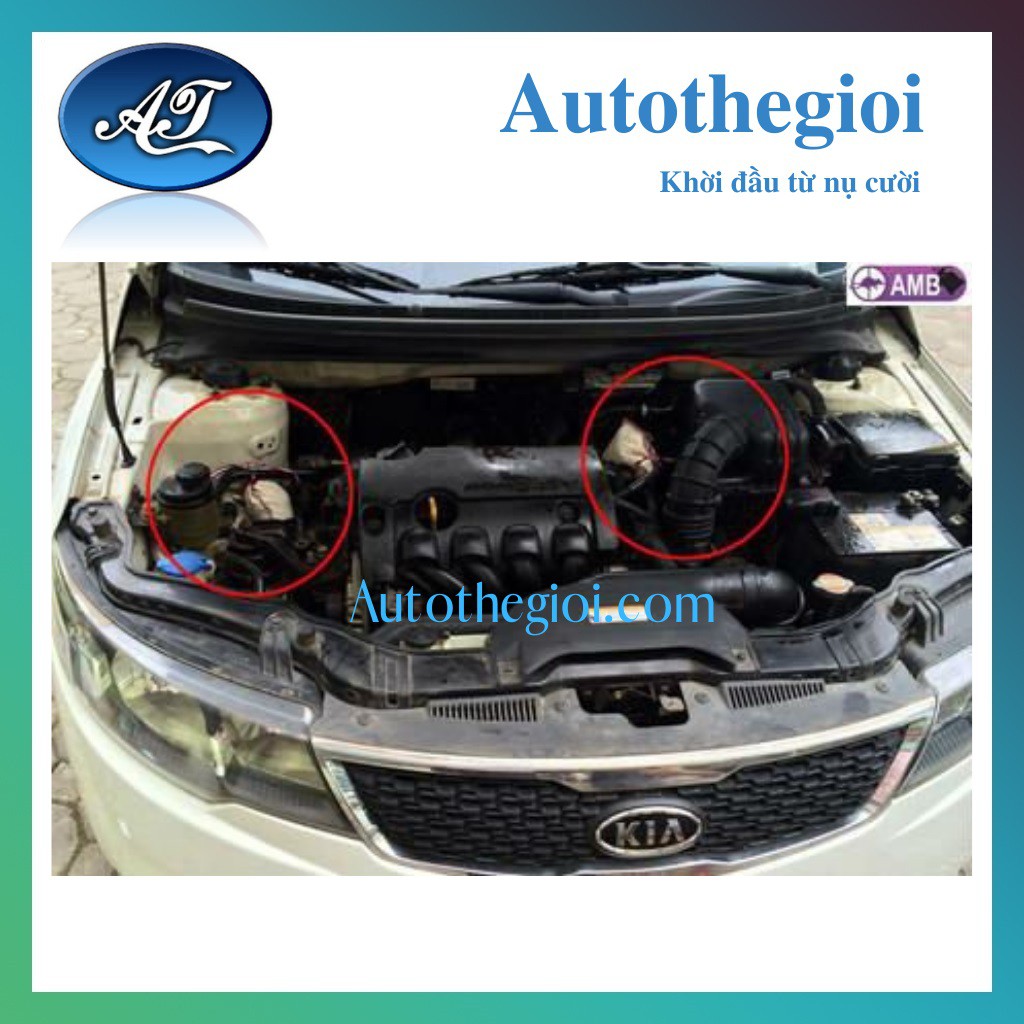 Túi chống chuột ô tô AMB, túi đuổi chuột dùng trên xe hơi AMB - Autothegioi