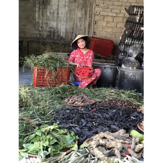 Dầu Gội Bồ Kết Cô Đặc