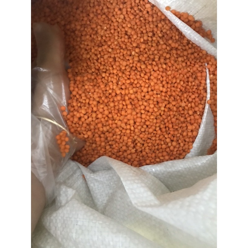 500g Đậu lăng đỏ Canada