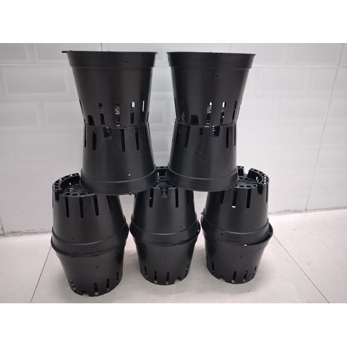COMBO 10 Chậu nhựa trồng lan size 16