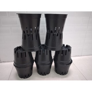 Combo 10 chậu nhựa trồng lan size 16