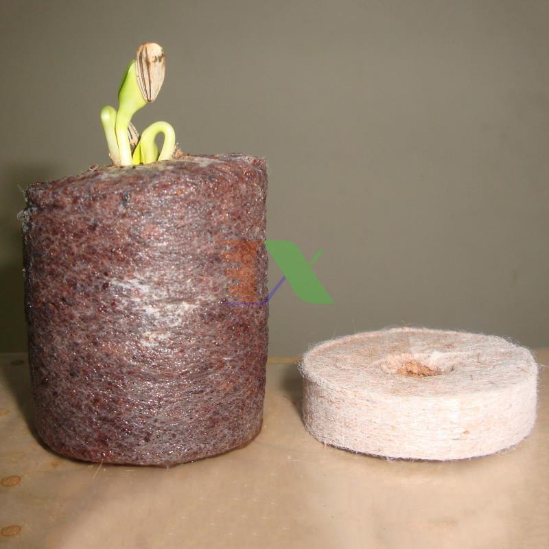 100 Viên nén xơ dừa ươm cây, Viên nén cám mụn dừa ươm hạt, Viên nén ươm cây non