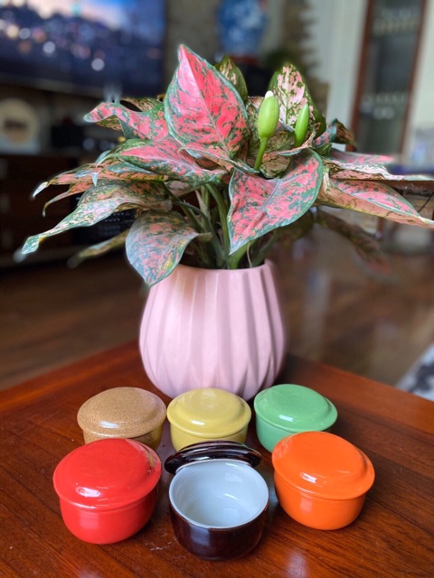 10 cốc làm caramen