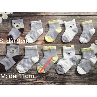 Set 5 Tất Hè Thu Cao Cấp Cổ Cao Cho Bé