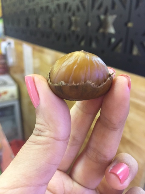 Thỏ Hạt Dẻ- Hạt Dẻ Thái Lan