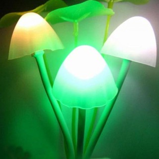 Đèn Ngủ Cảm Ứng Avatar