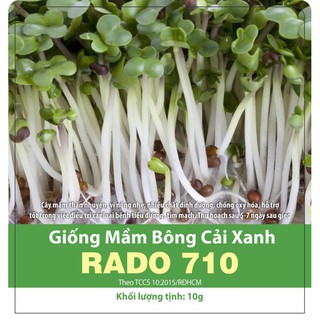 20g Hạt giống Rau Mầm Bông Cải Xanh (Súp Lơ Xanh) - Rạng Đông