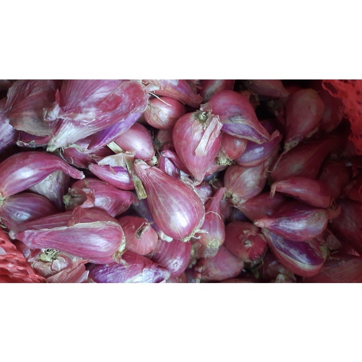 Hành LÝ SƠN Tách Vỏ Hút Chân Không - Gói 500gr