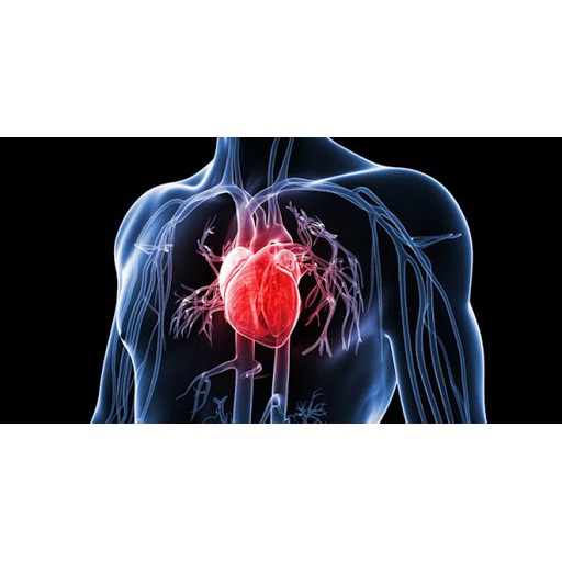 Tim, Hỗ trợ tim mạch và huyết áp - cardiopro Plus IMC