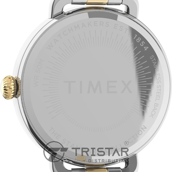 Đồng hồ Nữ Timex Standard Demi 30mm TW2U60200 Dây Kim Loại - Chính Hãng