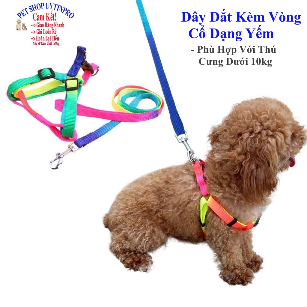 DÂY DẮT KÈM VÒNG CỔ DẠNG YẾM Cho Pet Thú Cưng Chó Mèo Dưới 10kg Chất liệu dù 2 lớp Màu 7 sắc cầu vồng