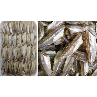 TAY LƯỚI BẮT CÁ LÒNG TONG