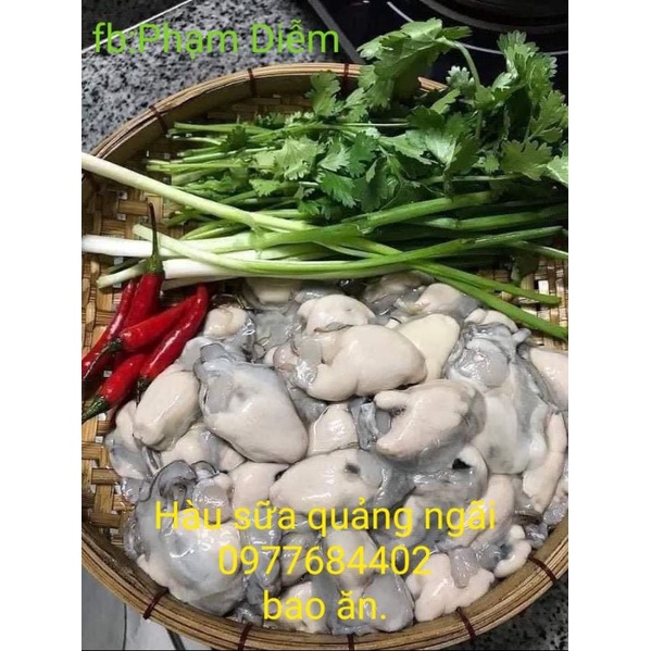 500gr ruột hàu sữa tươi thiên nhiên (ảnh thật) bao ngon từ vùng biển quảng ngãi