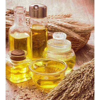 Dầu Cám Gạo ( Rice Bran Oil )