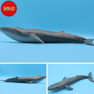 Mô Hình Cá Mập Biển Sống Động Cho Bé