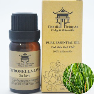 Tinh Dầu Sả Java Citronella java | 100% Thiên Nhiên Nguyên Chất | Khử Mùi, Thơm Phòng - TINH DẦU TRÀNG AN