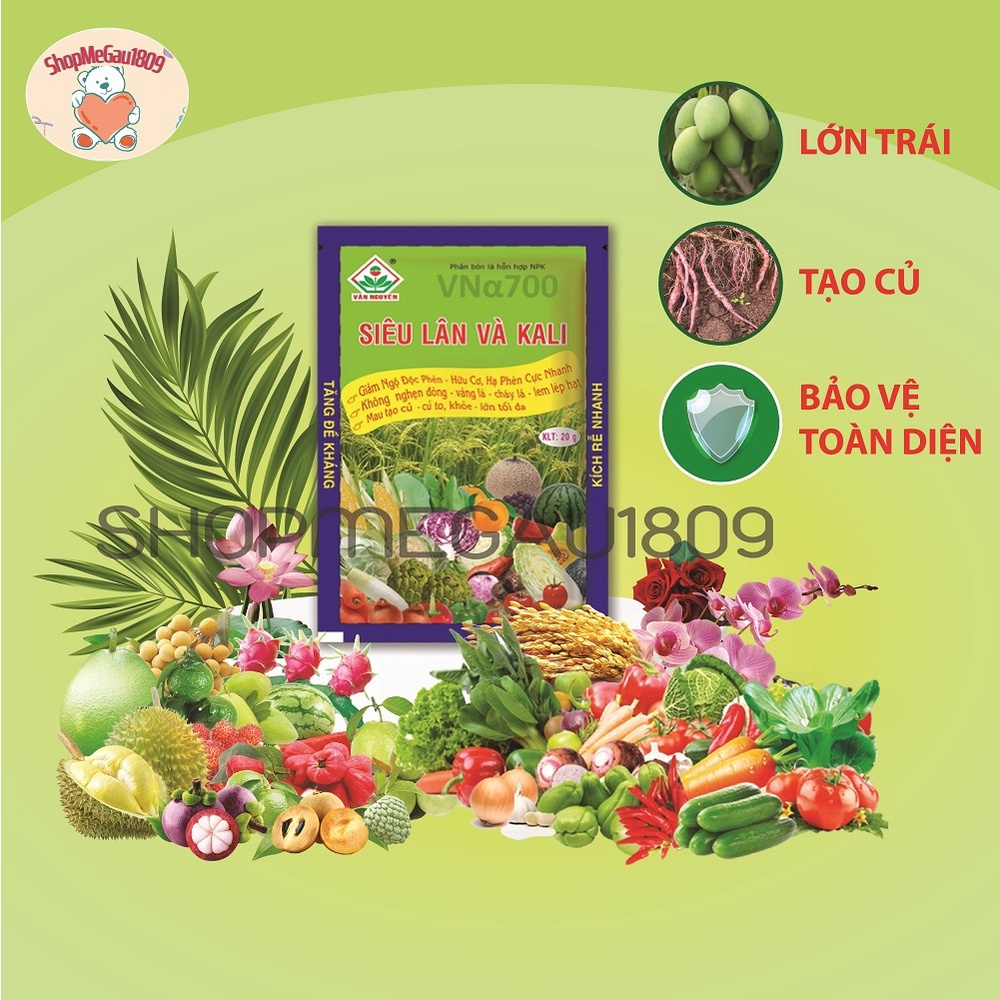 Phân bón SIÊU LÂN VÀ KALI gói 20 gr_Chuyên gia nuôi trái
