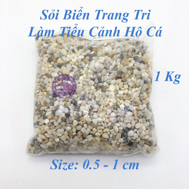 Sỏi biển 3 màu tự nhiên 1kg trang trí hồ bể cá cảnh