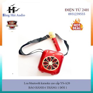 Loa Karaoke YS-A20