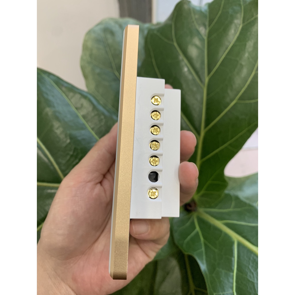 Công tắc thông minh cảm ứng Tuya Wifi - Rf433 SmartLife Điều khiển từ xa bằng giọng nói