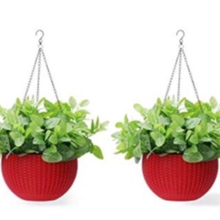 Chậu nhựa Đan mây treo