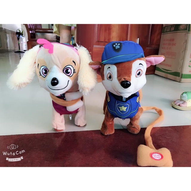 Chó biết hát biết đi