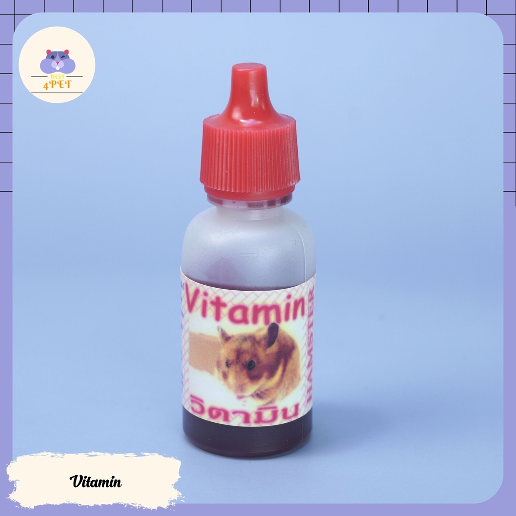 Vitamin - Tiêu Chảy cho Hamster, Guinea Pig, Thỏ