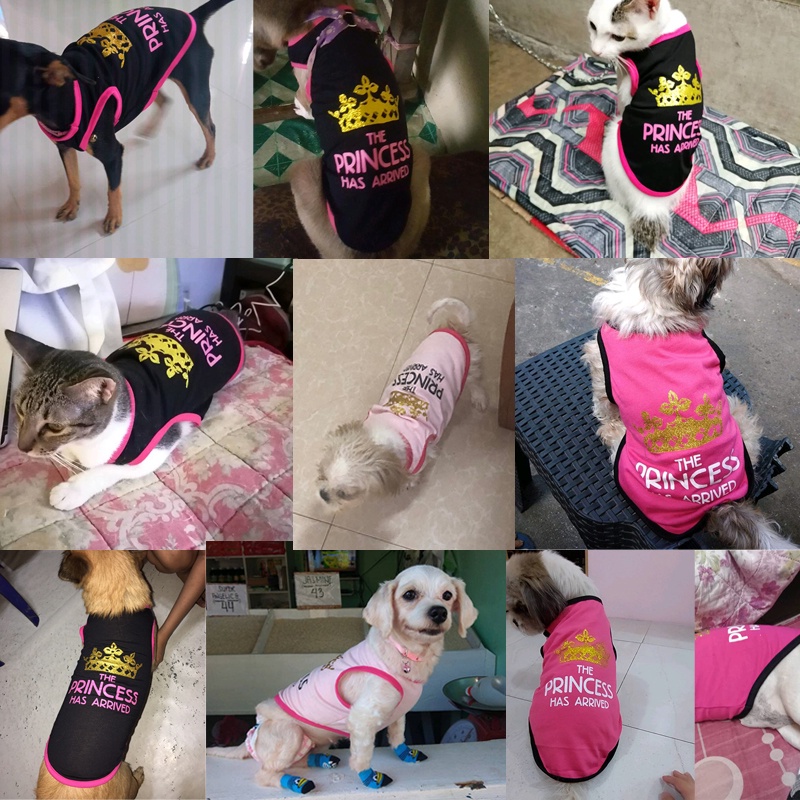 Áo Thun Cotton In Hình Vương Miện Cho Thú Cưng